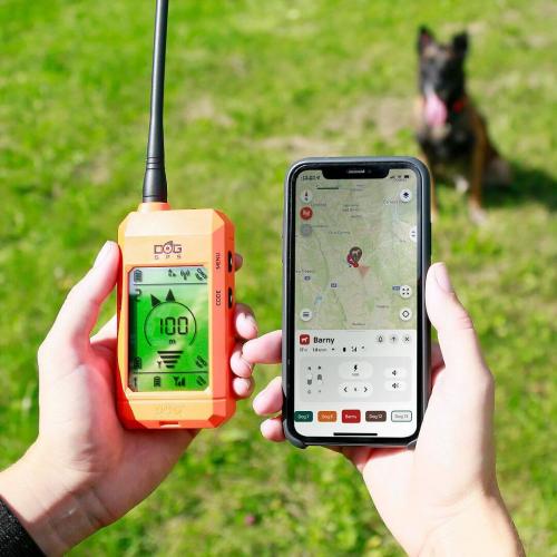 DOG GPS X30 SHORT 