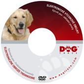 DVD - Vcvik ps 